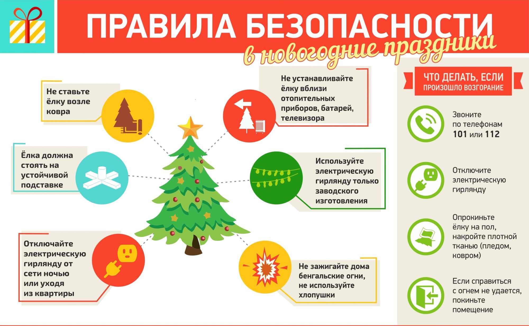 12d9581f57aa50d49ed872e145d9ab0e 2000x2000