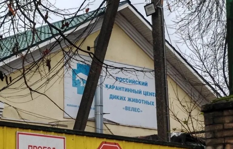 QzU5i9Pf0M PxfxkR3b bX6DxkLb28 oPbUnA6nkOasmz 0k6sjxbOkH1DWh10LYEI9CU3VugLuXqZw8NoOd9OK