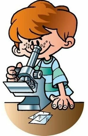 Исследователь